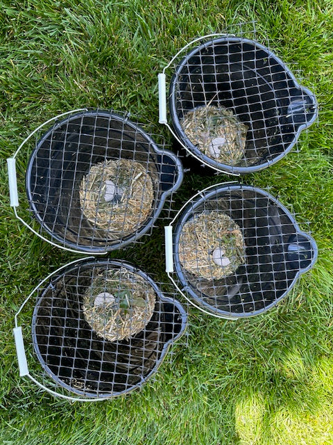 Four Mosquito Doom Buckets